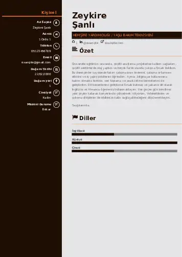 Hasta ve Yaşlı Bakım Elemanı Cv Örnekleri cv indir